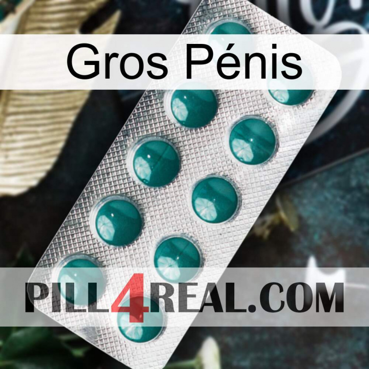 Gros Pénis dapoxetine1